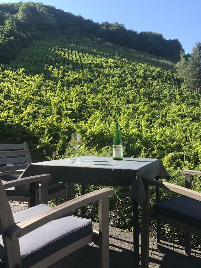 Talblick I Cochem