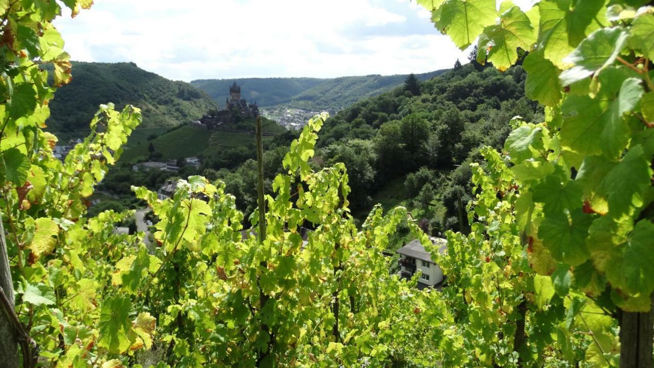 Talblick I Cochem